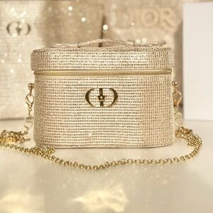 Dior Shimmery Gold Vanity Crossbody with Chain